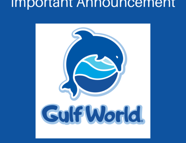 246037527_4667527003305514_220757357635884362_n