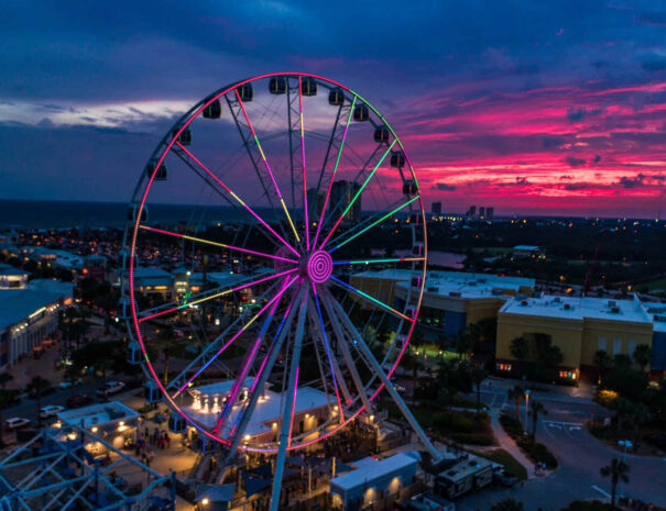 gulf world dolphin (2)